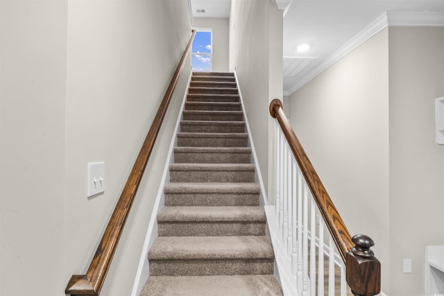 stairway featuring carpet flooring and ornamental molding