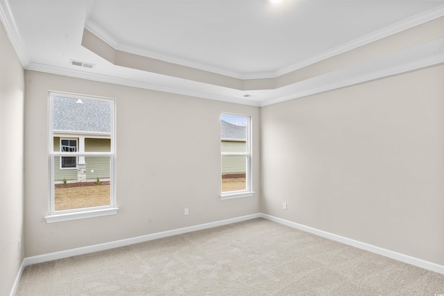 empty room with a raised ceiling, crown molding, and light carpet