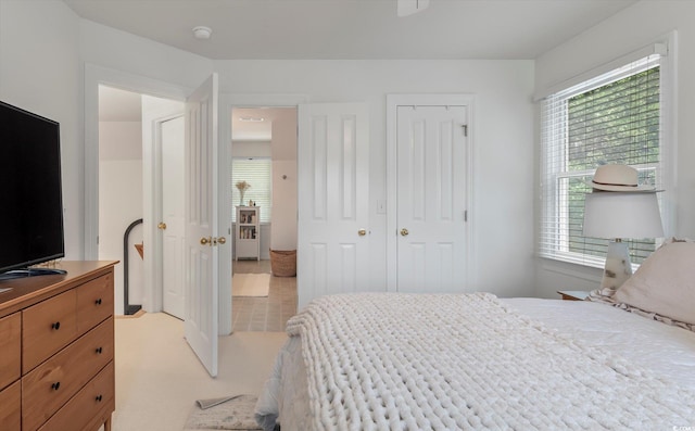 carpeted bedroom featuring a closet