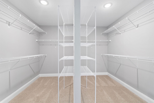 spacious closet with carpet floors