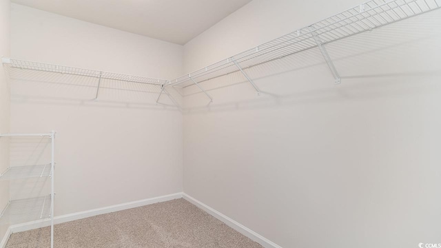 walk in closet with carpet