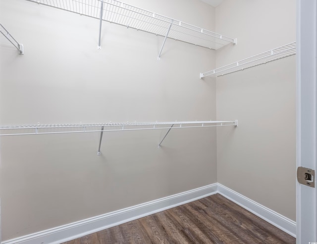 walk in closet featuring dark hardwood / wood-style flooring