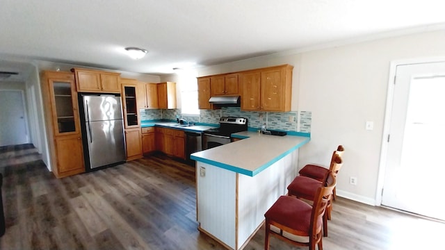 kitchen featuring kitchen peninsula, tasteful backsplash, dark wood-type flooring, sink, and stainless steel appliances