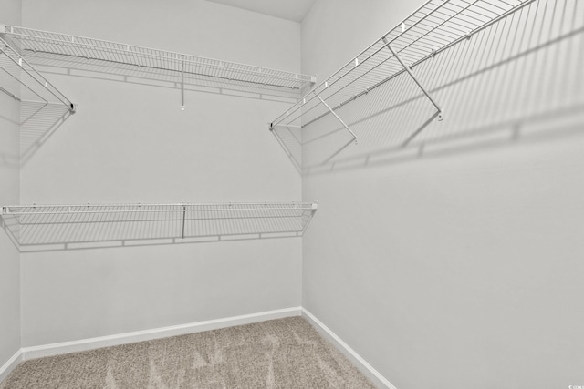 spacious closet with carpet flooring