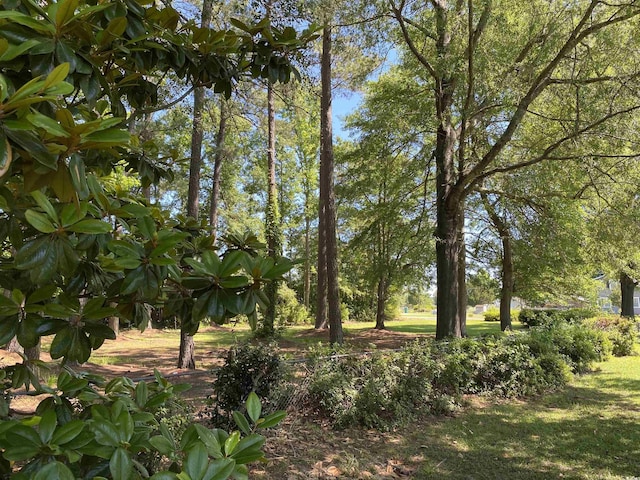 4155 Pinewood Dr, Mullins, SC 29574 - view of nature
