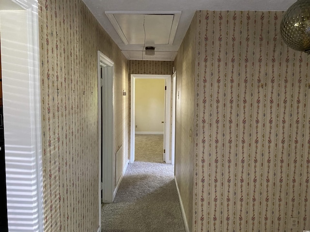 4155 Pinewood Dr, Mullins, SC 29574 - hallway with carpet floors