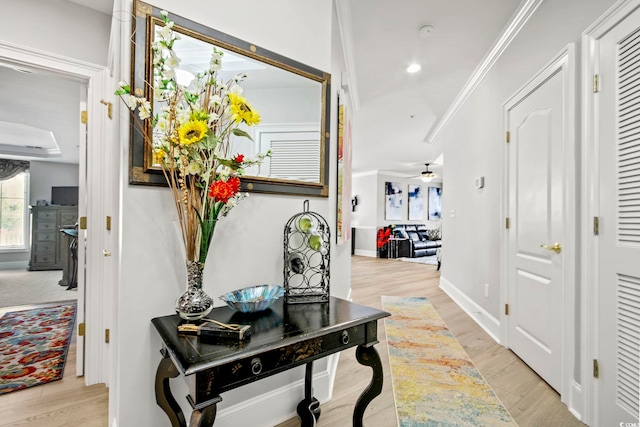 corridor with crown molding and light hardwood / wood-style flooring