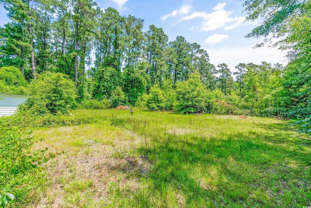 view of local wilderness