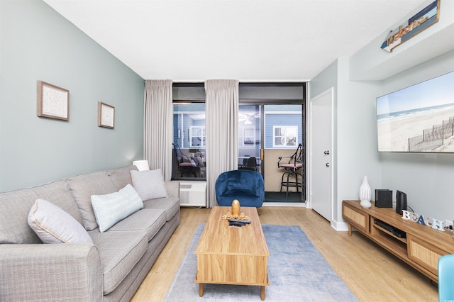 living room featuring light hardwood / wood-style floors