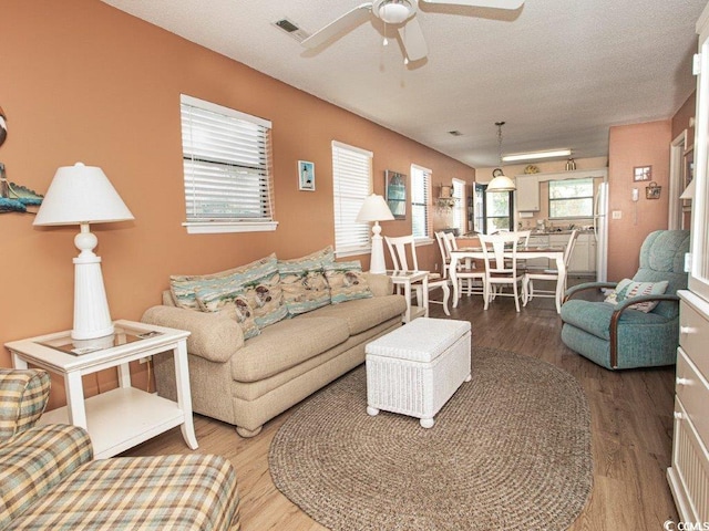 living room featuring ceiling fan, a textured ceiling, and hardwood / wood-style flooring