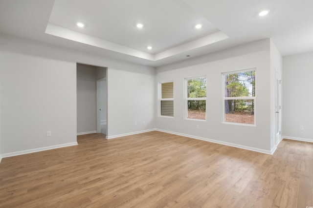 interior space with a raised ceiling and light hardwood / wood-style flooring