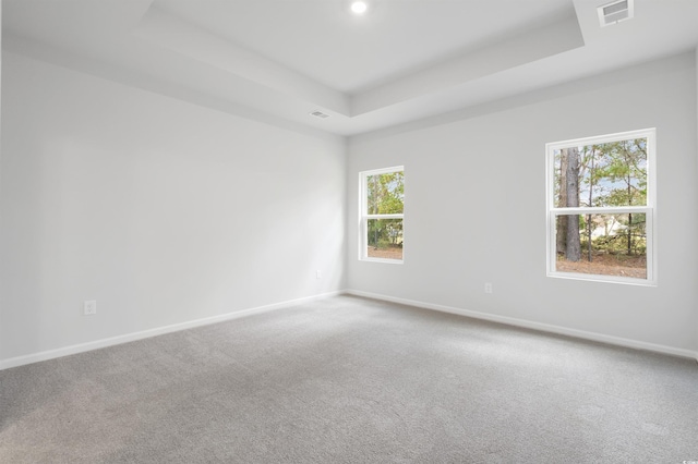 empty room featuring carpet and a raised ceiling