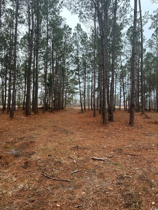 2358 Chestnut Rd, Longs SC, 29568 land for sale