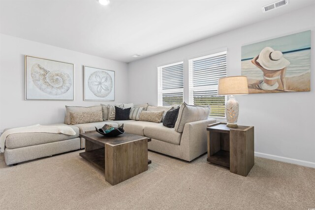 289 Sandridgebury Dr Unit 65, Little River, SC 29566 - photo 22