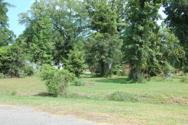 1824 Sumter St, Georgetown, SC 29440