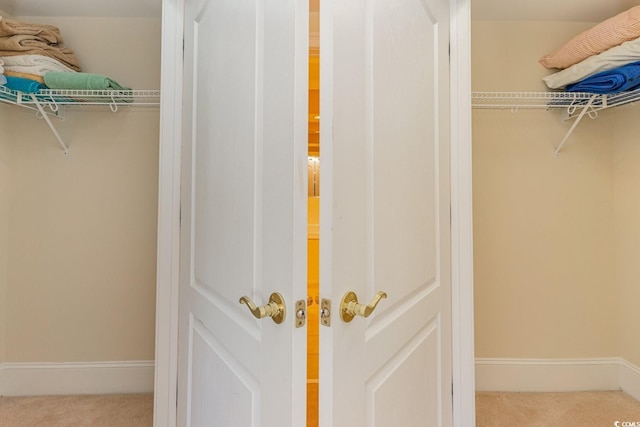 spacious closet with light carpet