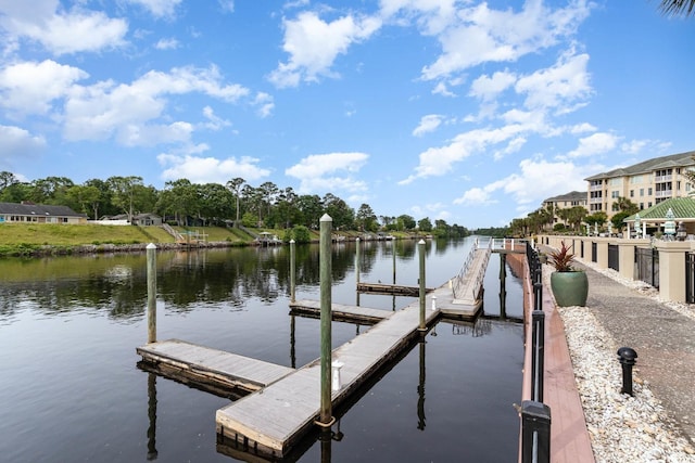 dock area with a water view