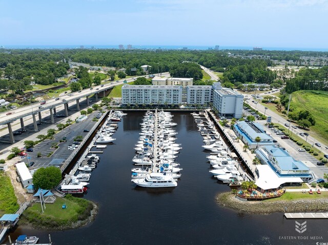 aerial view with a water view