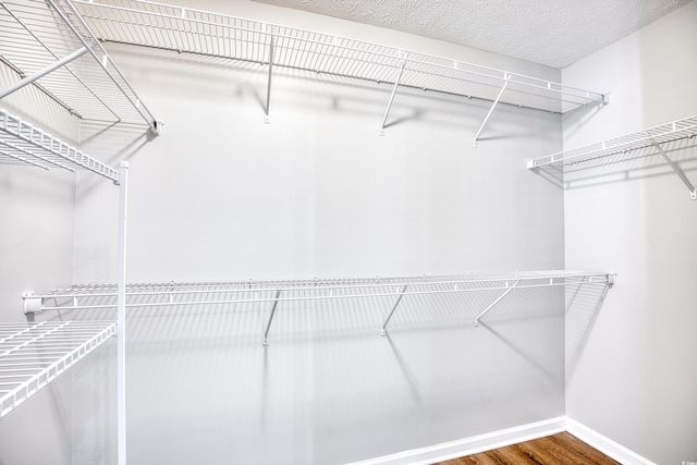 spacious closet featuring wood-type flooring