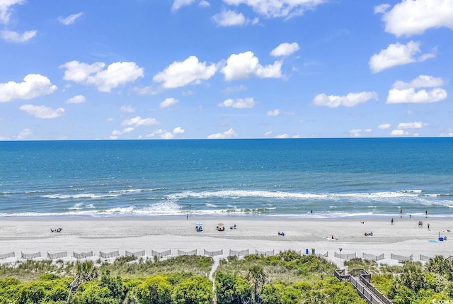 water view featuring a beach view