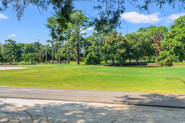 view of community featuring a yard