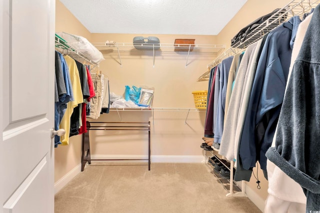 spacious closet featuring carpet floors