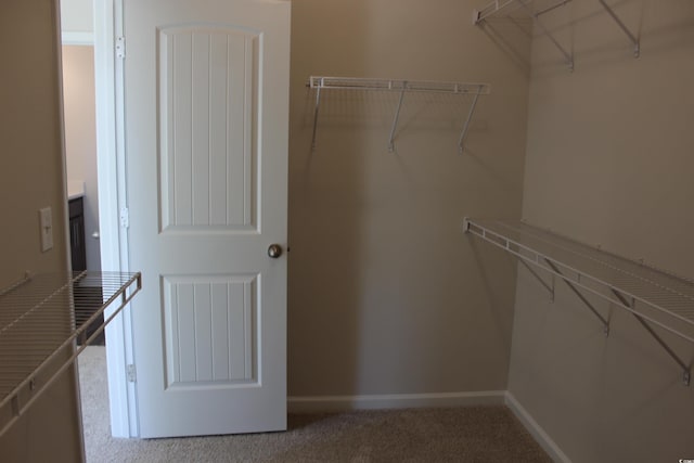 walk in closet featuring carpet flooring