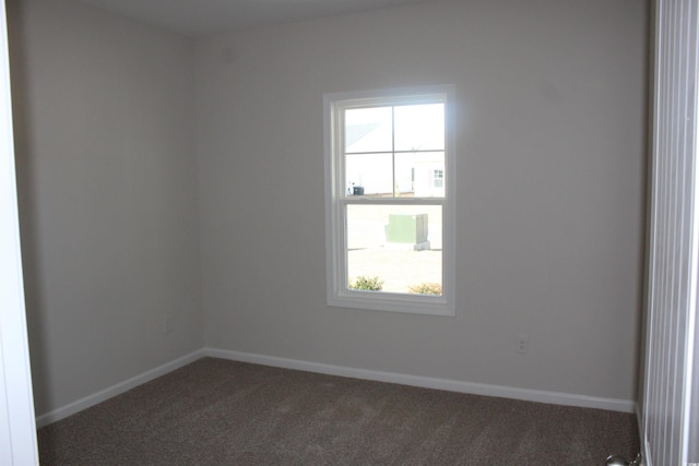 carpeted spare room with a wealth of natural light