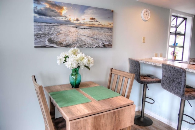 dining room featuring hardwood / wood-style floors