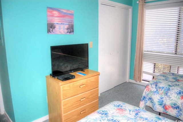 bedroom with a closet and carpet