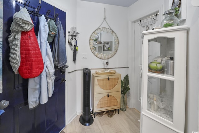 bathroom with wood-type flooring