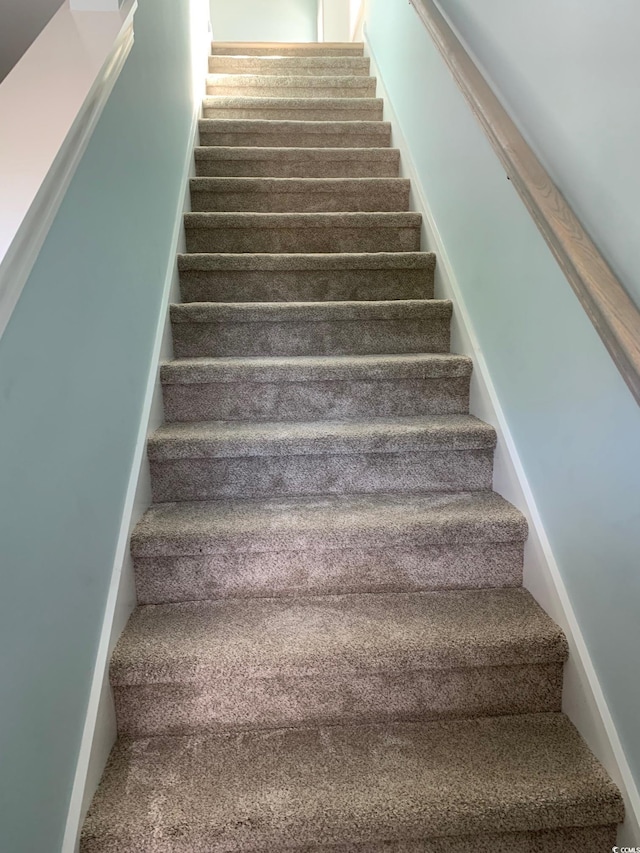 staircase featuring carpet floors