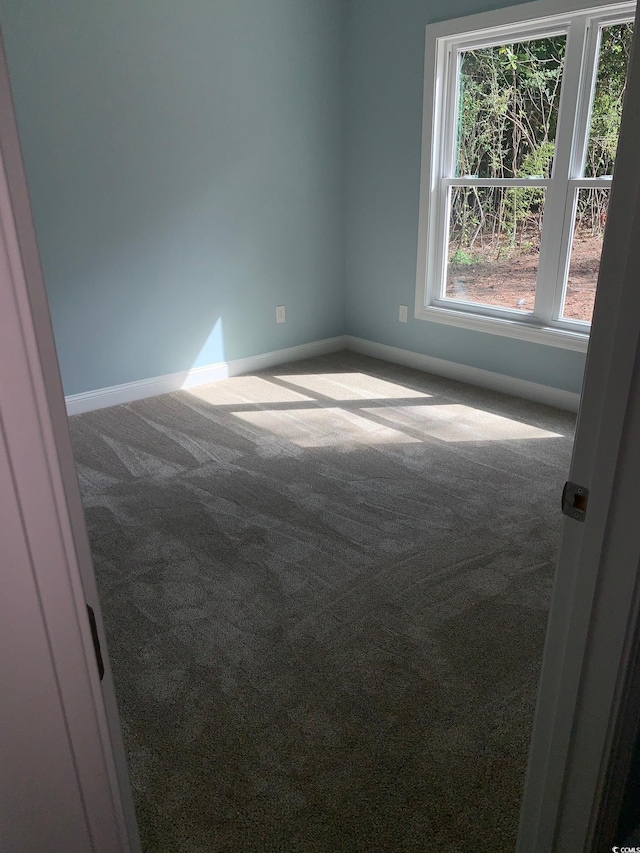 unfurnished room with carpet flooring