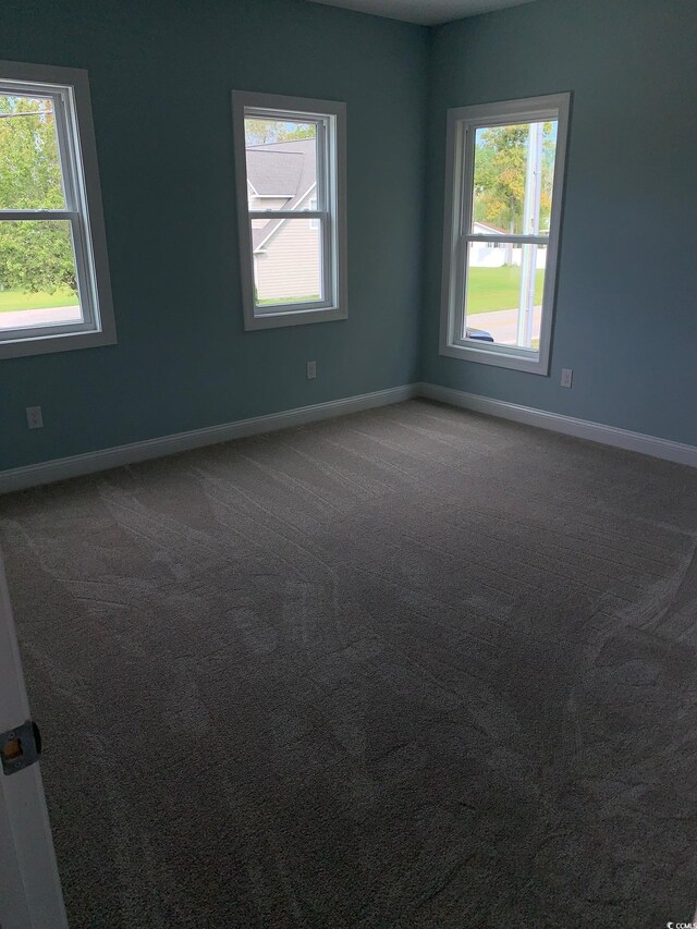 spare room featuring carpet flooring and a wealth of natural light