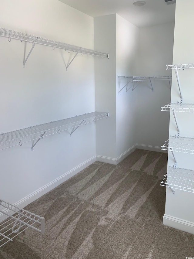 spacious closet featuring carpet floors