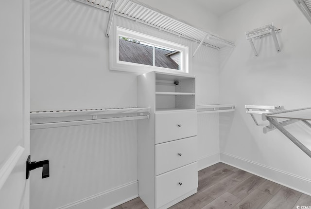 spacious closet with light wood-type flooring