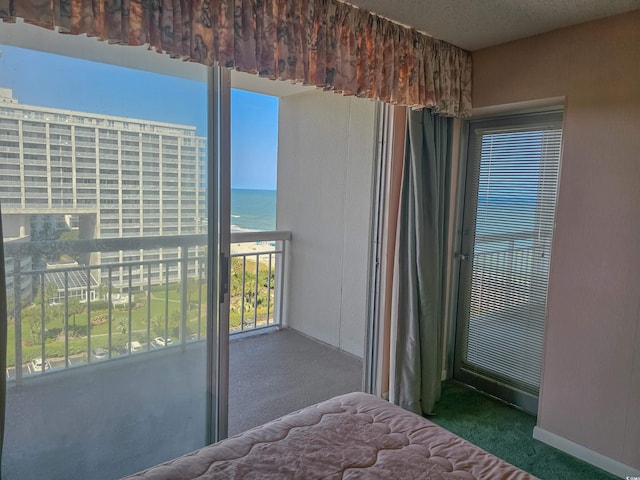 carpeted bedroom with a water view