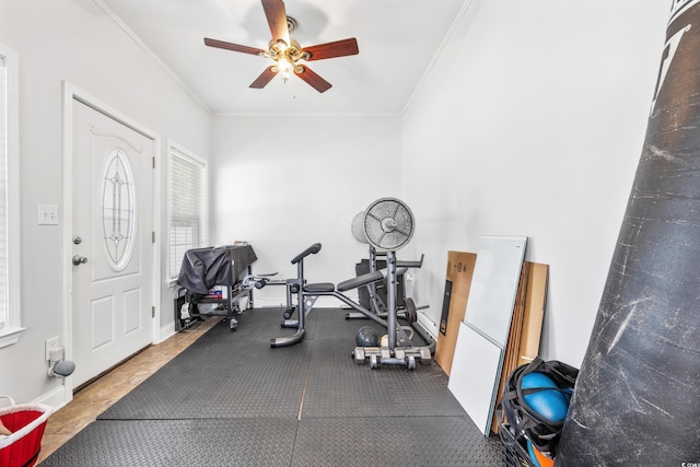 exercise area featuring ceiling fan and crown molding