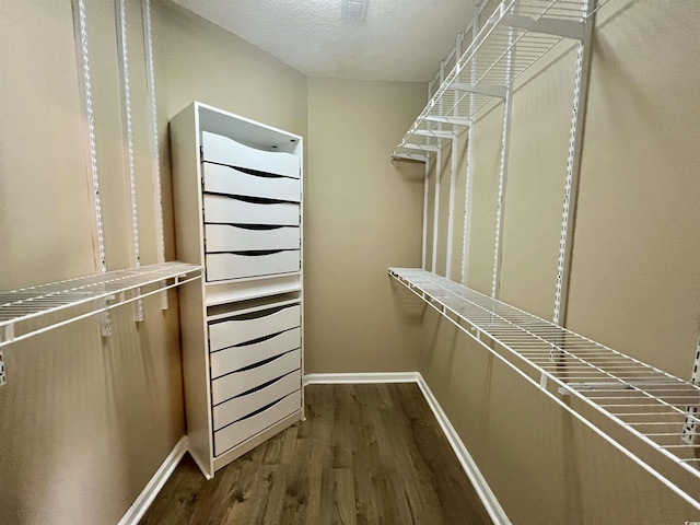 spacious closet featuring wood-type flooring