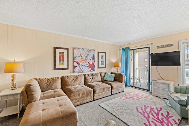 living room featuring carpet, a textured ceiling, and ornamental molding