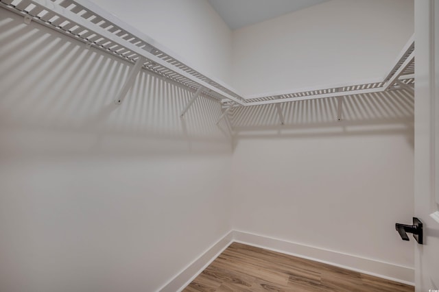205 Brush Ct, Little River, SC 29566 - spacious closet with wood finished floors