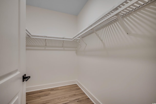 205 Brush Ct, Little River, SC 29566 - spacious closet with light wood-type flooring