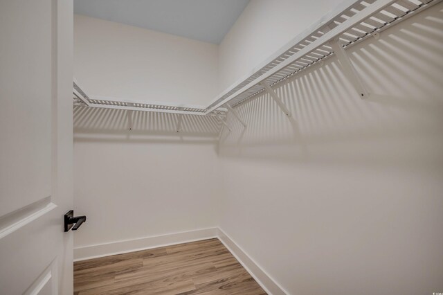 205 Brush Ct, Little River, SC 29566 - walk in closet featuring light wood-style flooring
