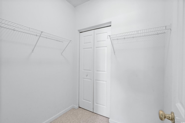 spacious closet featuring light colored carpet