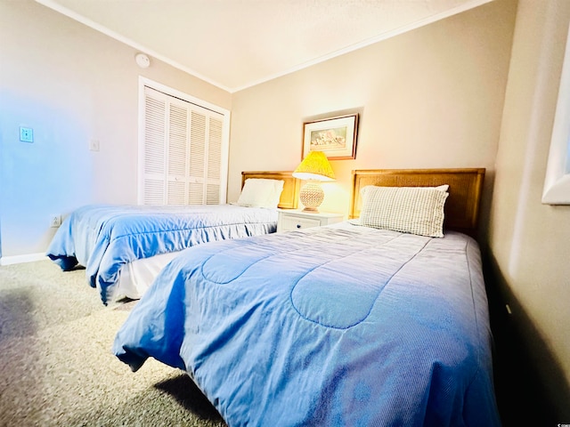 carpeted bedroom featuring crown molding and a closet