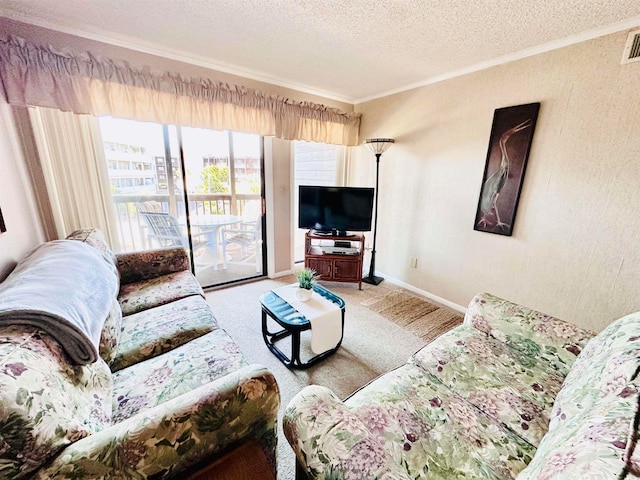 carpeted living room with crown molding and a textured ceiling