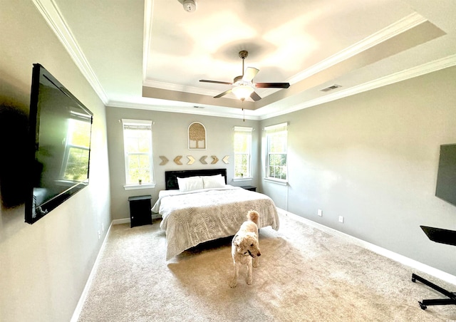 bedroom with carpet floors, ceiling fan, a raised ceiling, and crown molding