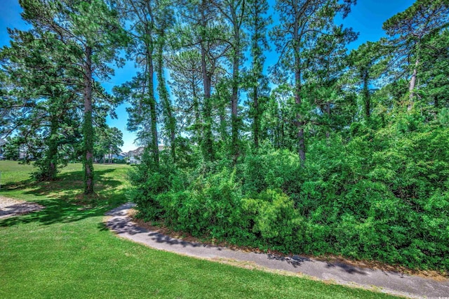 1095 W Plantation Dr W Unit 28D, Little River, SC 29566 - photo 19