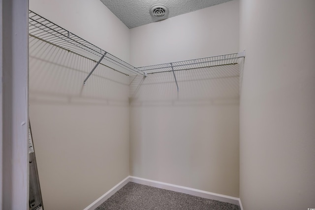 walk in closet with carpet