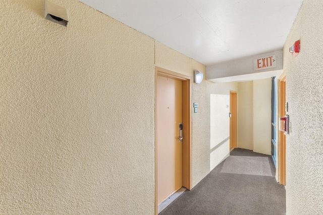 hallway featuring carpet floors